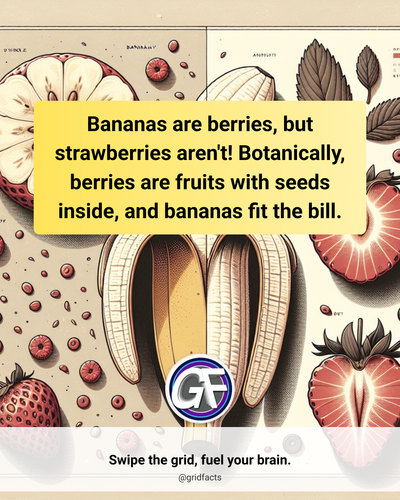 49ef3dc0 5ba3 499c 87dc 6ec8482bb6c5.png