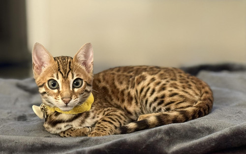 516772517 10164131945892216 3227849419136565730 n.jpg