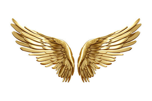 360 F 591468826 ct21ie5RG6dSumfR3UndGKxf7zpfKDlw.jpg