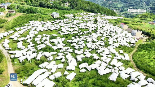 D0JC9PTTwA5X Nel.jpg