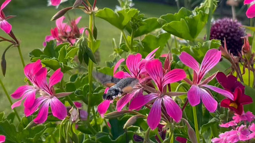 JGDZJtCzt07bVv U.jpg