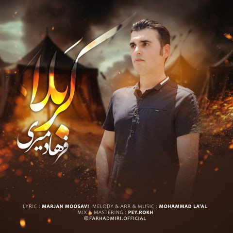 دانلود آهنگ فرهاد میری به نام کربلا