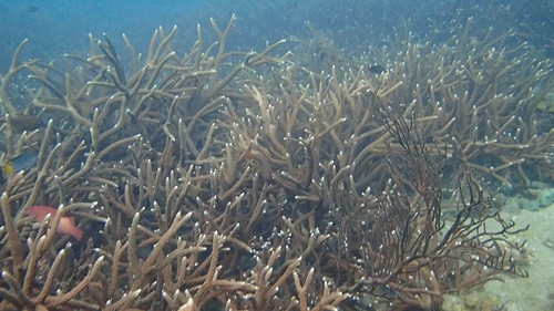 XQ03EEltw t4brhp.jpg