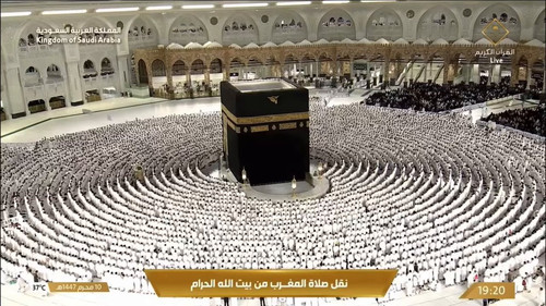 ZHu2dcHnSs JTZE .jpg