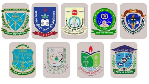 1751854140 484bc92086f97b1b01f5.jpg