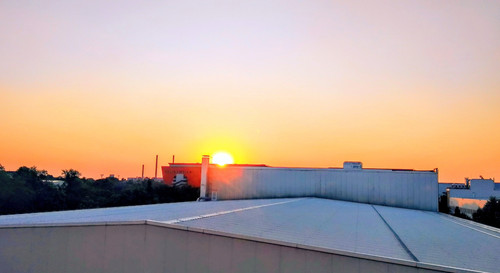 IMG 20250707 060632~5.jpg