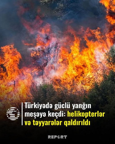 517442984 1039710478370340 6836858796159722958 n.jpg?stp=dst jpg s640x640 tt6& nc cat=102&ccb=1 7& n.jpg