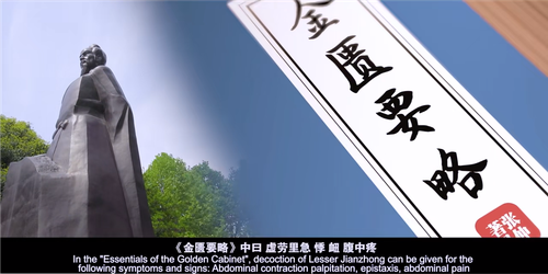 双语视频二：患者纳食搁在胸，细问才知惊气冲2.png