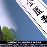 双语视频二：患者纳食搁在胸，细问才知惊气冲2