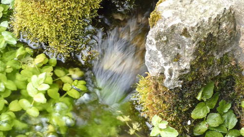 CoapD11Kerd XUJw.jpg