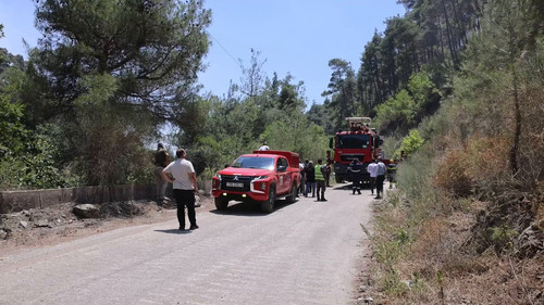 LTIP OaCZooS 1yI.jpg