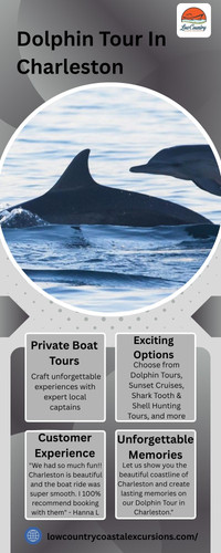 Dolphin Tour In Charleston.jpg