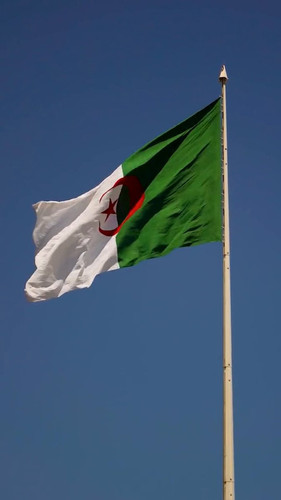 QBq oNEGZMCLC4E2.jpg