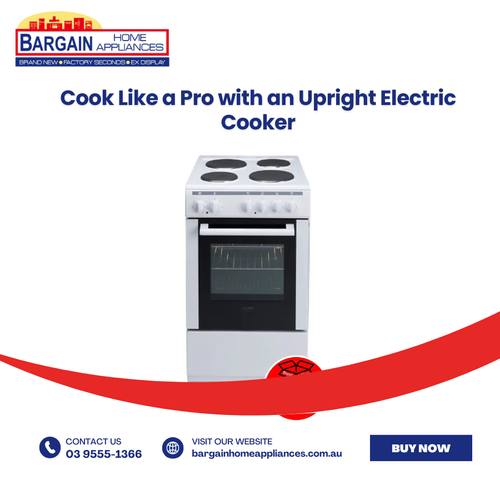 Cook Like a Pro with an Upright Electric Cooker.png
