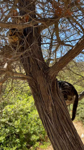 ERWb 7GDulnu ib1.jpg