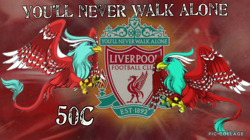 20dda78b f0f6 4836 84b1 c085496d7274.jpg