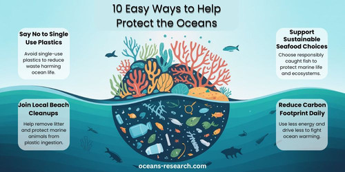 10 Easy Ways to Help Protect the Oceans.jpg