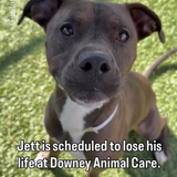 Gud M87bIAAD53H?format=png.png