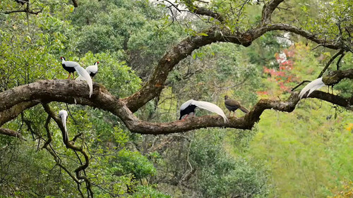 jv0WFn0br36v6 8M.jpg