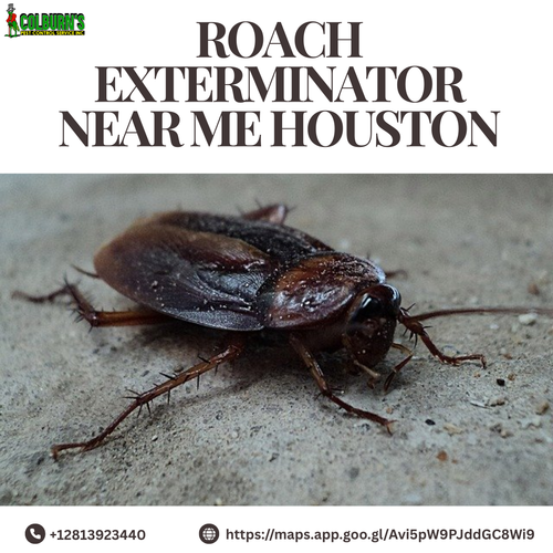 Top Roach Exterminator Near Me in Houston | Fast & Reliable Pest Control.png