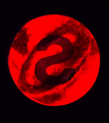 rfIMitw SZbqDAAY.jpg