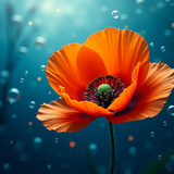 Sameh Elbialy A captivating underwater scene showcases a single, 2eb43760 89f3 44e7 b9ca a28581ece64