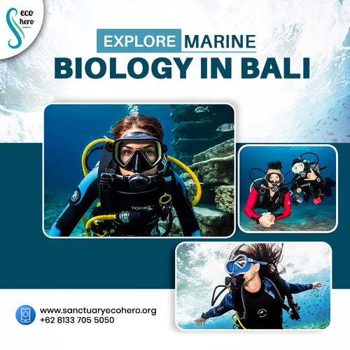 Explore Marine Biology in Bali.jpg