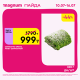 Magnum 1620x1620 1 tov 2025 07 09T121627.257