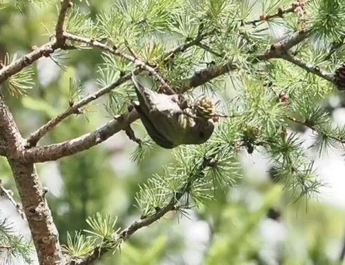 9cqAPFkG5Ul Eakj.jpg