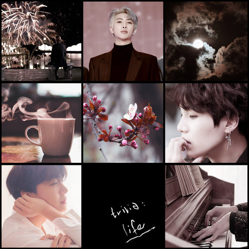 moodboard trivia life Kopie