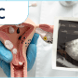 19 valor diagnostico