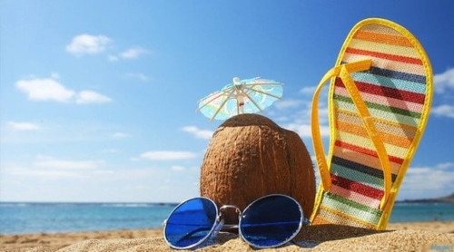 516399113 1142416261249685 28320867898204087 n.jpg? nc cat=104&ccb=1 7& nc sid=833d8c& nc ohc=kw27 Z.jpg