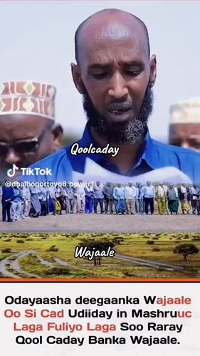 NLl13IgMDoO7M5 7.jpg