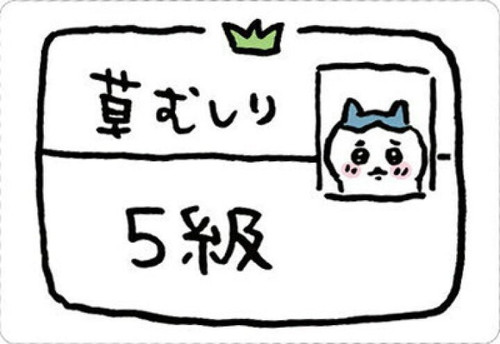 2742D3F5 BC10 4EA5 8744 3B654B16322C.jpg