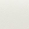 rhianon white 108 002 029 sw sq icon.jpg