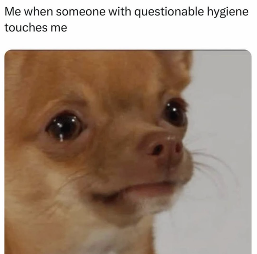 Screenshot 2025 07 09 at 9.41.26 AM.png