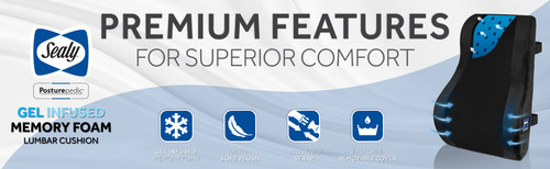 SL11090 Gel Infused Lumbar Cushion (Black) A+ 02.jpg