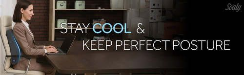 SL11091 Gel Infused Lumbar Cushion (Gray) A+ 04.jpg