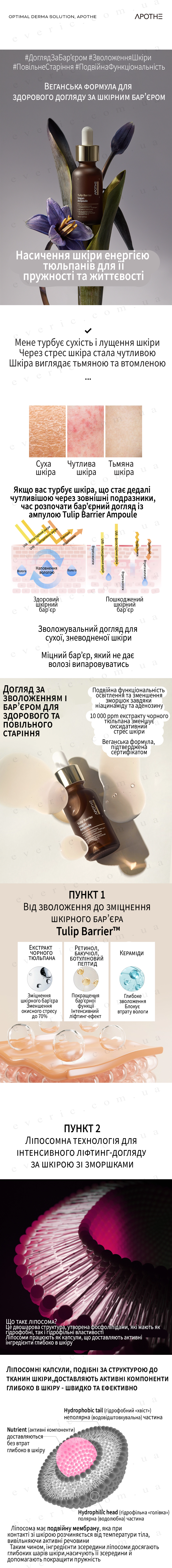 1 копия