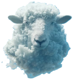 Dolly.png