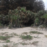 IMG 20250415 WA0006