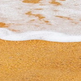 beach sand sea coastline background top view 73944 10362 1 1