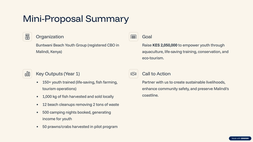 9 Mini Proposal Summary.png
