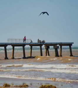 IMG 20250418 WA0003 1 265x300.jpg