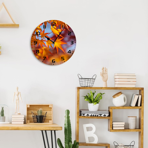 66 SZ25N 0708 01.png