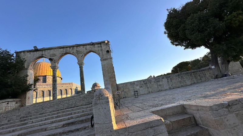 المسجد الأقصى المبارك هذا الصباح.....