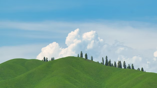 clipboard (6).png