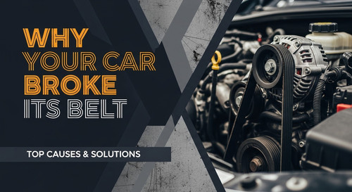 6a43a40b 98d0 438d 852d ae5bd49bb899.jpg