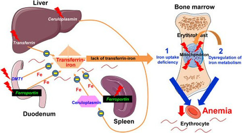 sattrongcothe2503.jpg