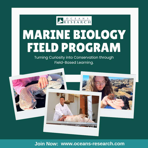 Marine Biology Field Program.jpg